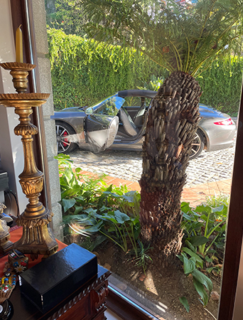 Luxury Guest House — Fotografia 11 de 18