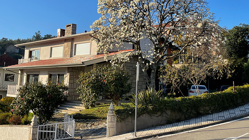 Luxury Guest House — Fotografia 6 de 18