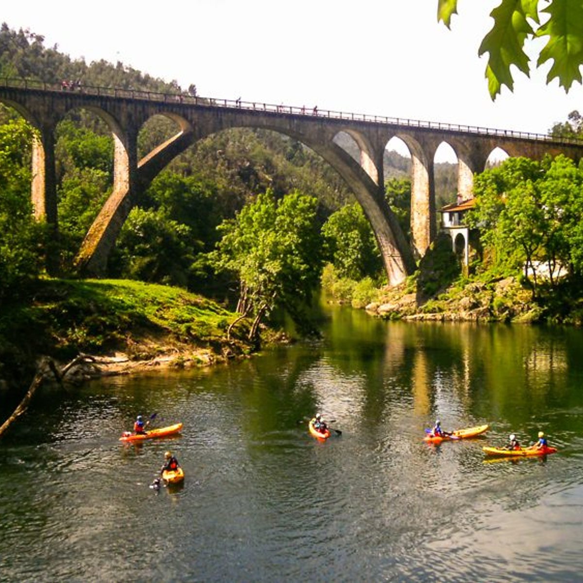 O rio